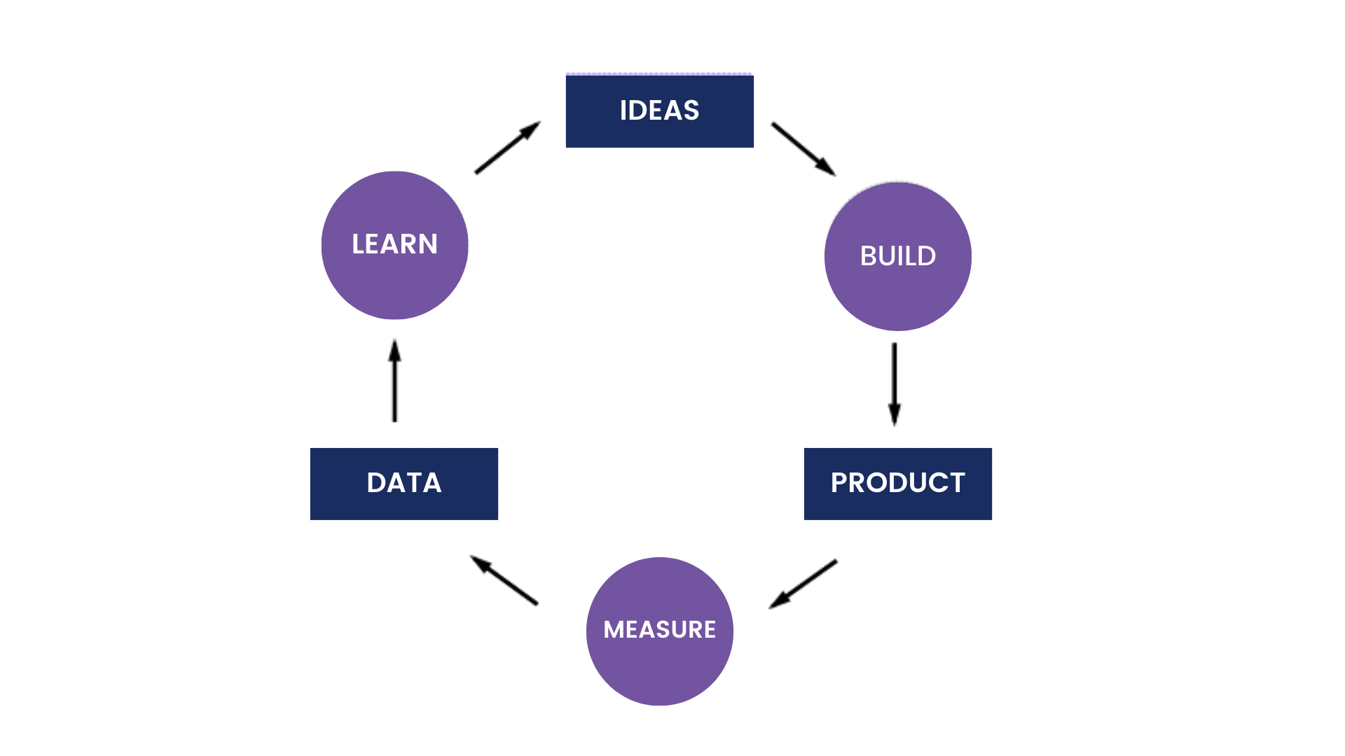 Build-Measure-Learn loop